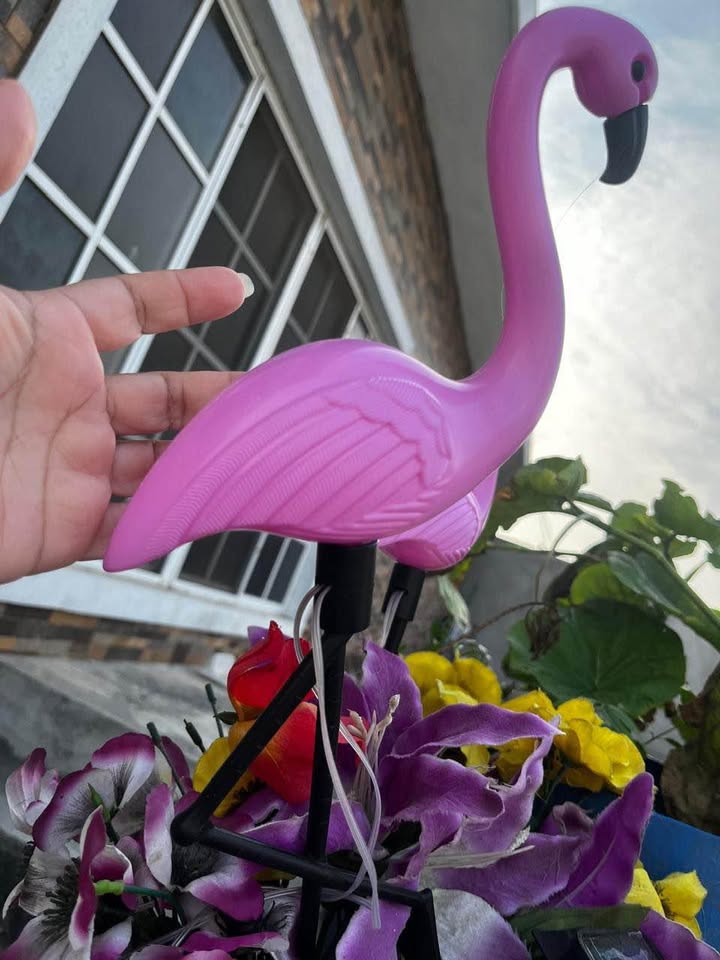 Conjunto de Flamencos solares color rosa, incluye 3 flamencos, No requieren electrica se recargan con la luz del sol